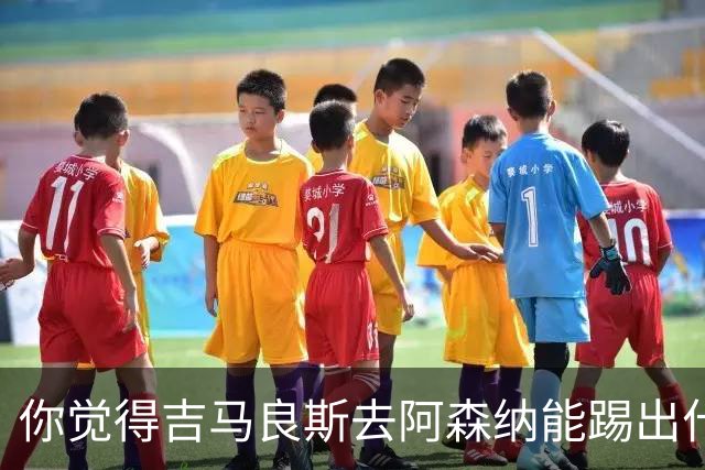 你觉得吉马良斯去阿森纳能踢出什么水平？8000万镑这笔投资，阿森纳值不值？欢迎在评论区聊聊你的看法